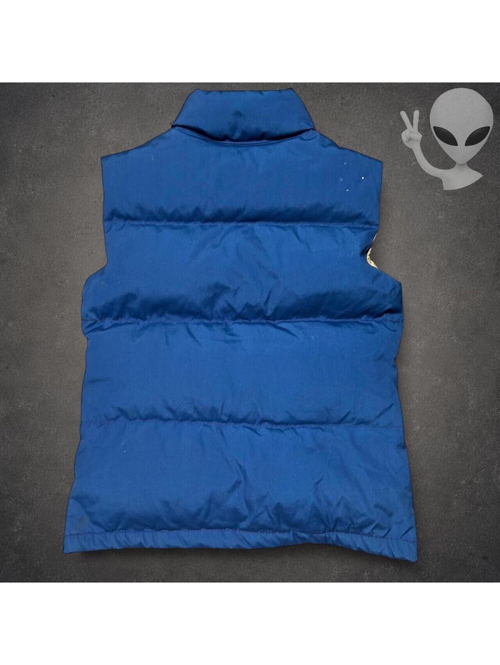 Vintage The North Face Brown Label Down Puffer Vest Women's US Size S Blue - Picture 7 of 8